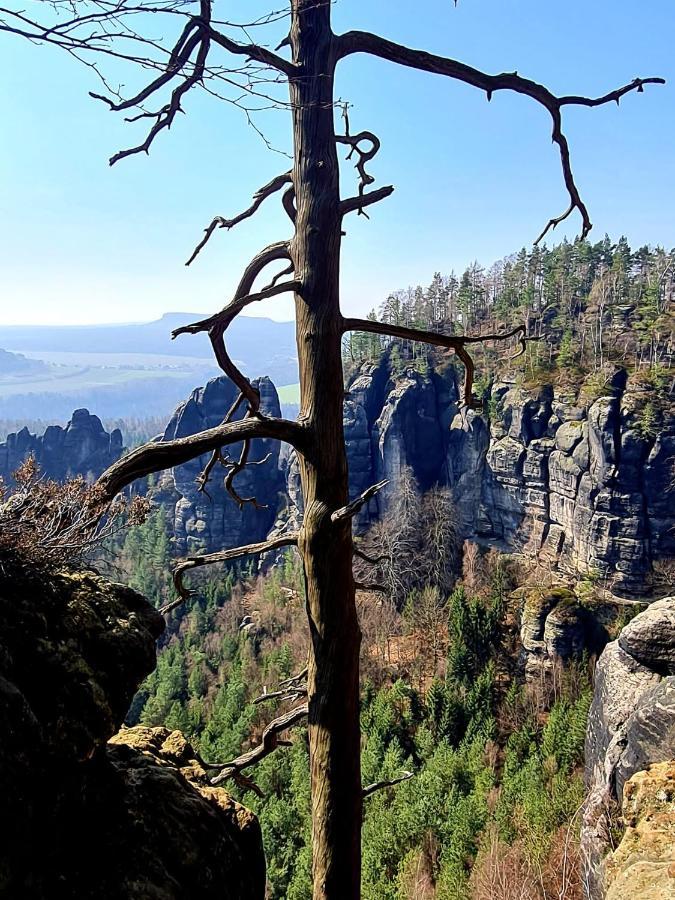 Arizona Bad Schandau